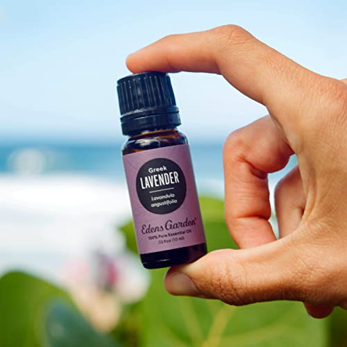 Edens Garden Lavender- Greek Essential Oil, 100% Pure Therapeutic Grade (Undiluted Natural/Homeopathic Aromatherapy Scented Essential Oil Singles) 10 Ml #TOP1