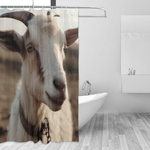 Rideau de douche imperméable de qualité supérieure avec 12 anneaux - 3