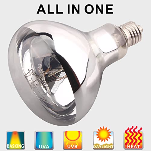 DERNORD Mercury Vapour Bulb Tortoise - Image 2