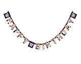 American Greetings WWE Birthday Party Banner