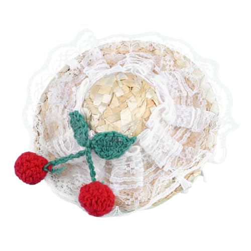 Angoily 1 ybg̔Xq ybg̃[X̂Ƃ񂪂Xq `bg