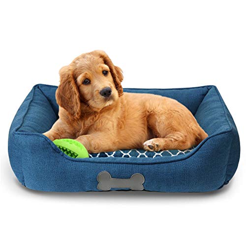 Fluffy Paws â€“ Premium Dog or Cat Bed | Large Dog Bed Measures 30 x 23 x 7, Perfect for Pets up to 55 lbs. | 100% Polyester Pet Bed | Ocean Blue