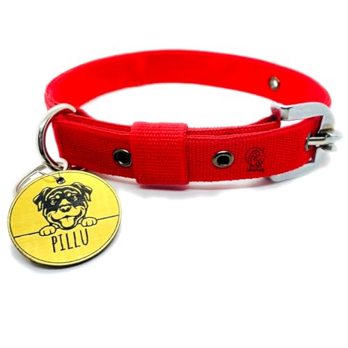 PAWPRO HANDMADE Personalized Red Dog Collar Belt with Customizable Dog Name Tag 40cm -55cm Soft Comfy Pet Collar for Small Medium Large Dogs (Size; M), 1 Label