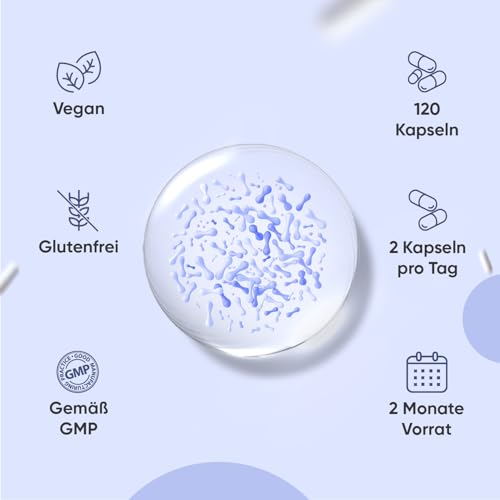 Kulturen Komplex mit 60 Mrd. KBE - 20 Bakterienstämme und Bio Inulin -120 vegane Kapseln - Bakterienkulturen mit Bifidobacterium, Lactobacillus Gasseri & Reuteri - 2 Monate Vorrat - WeightWorld