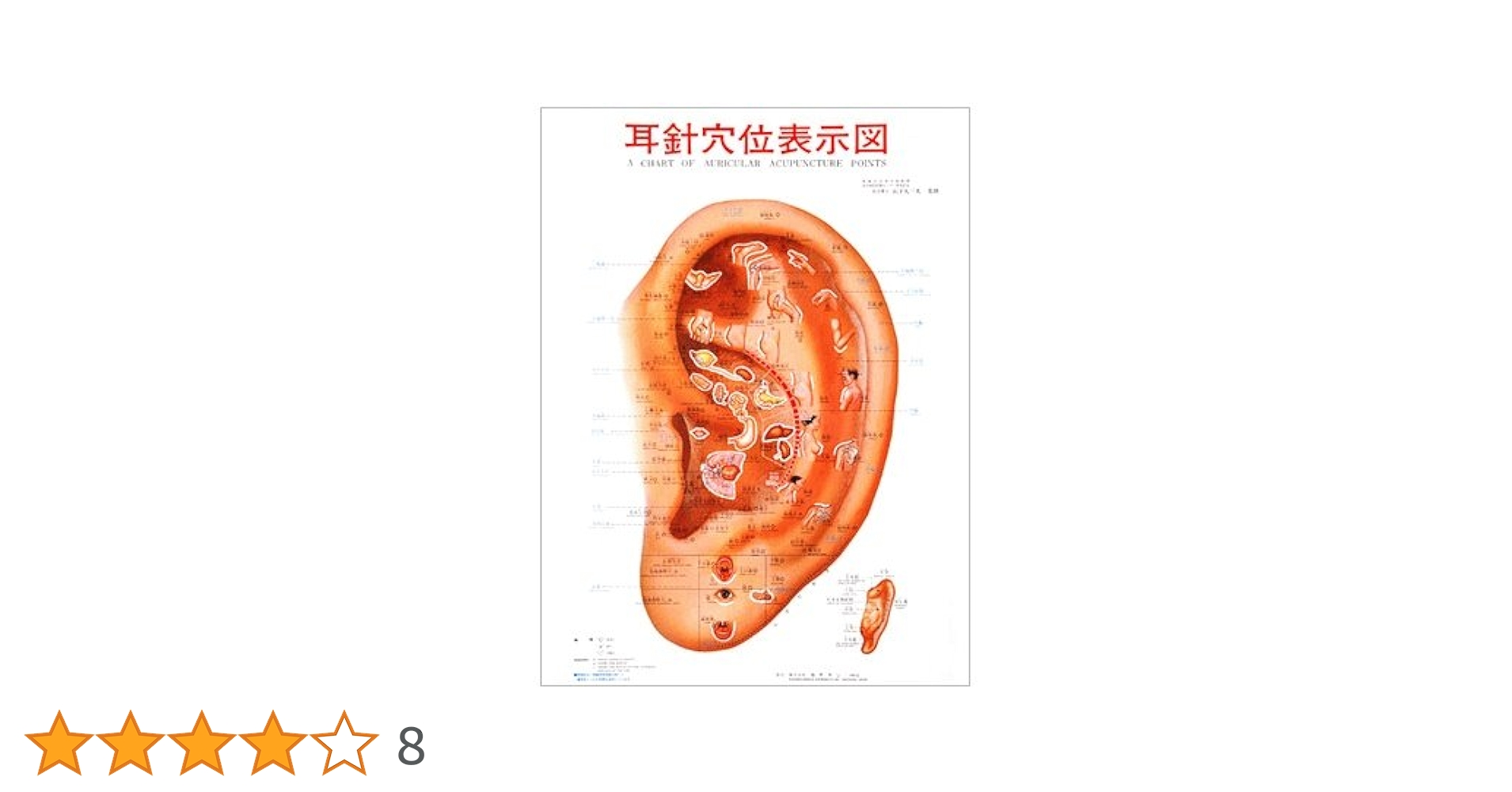 Amazon | Beautear 耳つぼポスター 耳針穴位表示図 カラーポスター 耳