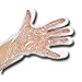Produktbild Einweghandschuhe, Folienhandschuhe, Dieselhandschuhe, PE-Küchen-Handschuhe transparent, im Beutel oder Box, Farbe:transparent, Größe:M - Box