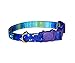 Galaxy Cat Collar - Outer Space Cosmos of Blue and Purple - 100% Cotton - 3/8 Inch Wide - 2 Sizes - Breakaway Safety Buckle- Handmade by Green Acorn Kitchen (Cat - 7.5 to 12 Inches)