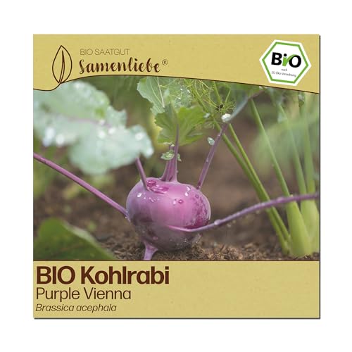 Samenliebe BIO Kohlrabi Samen | Purple Vienna - violett - samenfestes BIO Saatgut