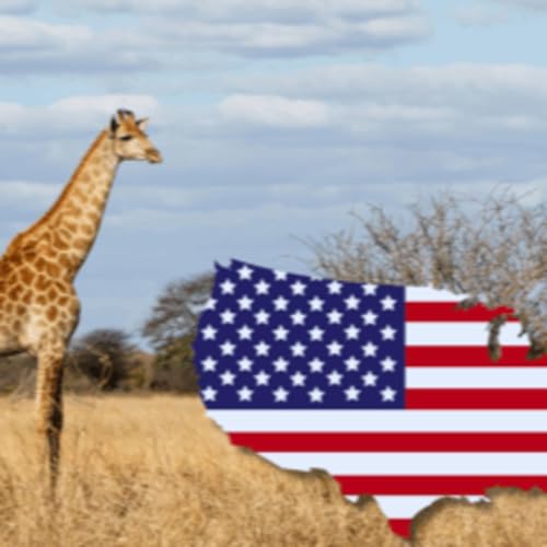 The Kruger for US Tourists: A Comprehensive Guide