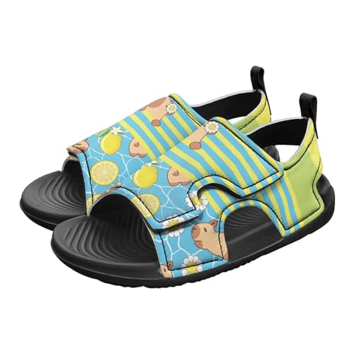 Capybara Sport Sandals for Kids Fashion Cute Summer Water Shoes Quick Dry Open Toe Hiking Walking Sandals for Boys Girls