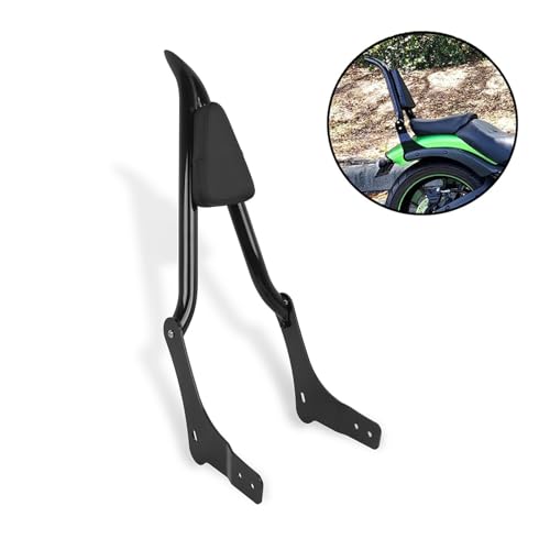 Sissy bar Vulcan S 650 EN650 rigide en acier avec coussinet de bagages - 2