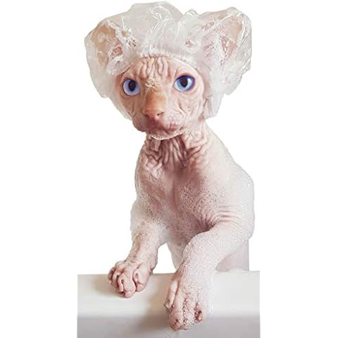 Kotomoda Shower Caps for Sphynx Cats and small pets 20pcs Cover