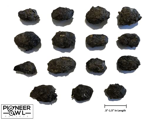 Image of Small Barn Owl Pellets (Pack of 20) Teaching Kit