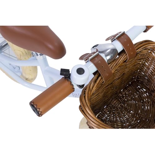 BANWOOD First GO! Balance Bike (Sky)