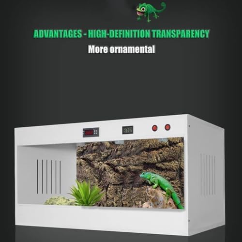 Tall & Wide Reptile Habitat Tank - 100x50x50 cm Terrarium for Lizards, Snakes, Bearded Dragons, Tortoises, Chameleons - Spacious Reptile Enclosure & Home for Optimal Comfort