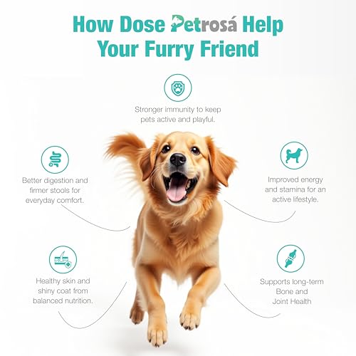 Image of Medium Breed Puppy Dog Food (2 to 12 Months) | 1 Kg | 30% Protein, DHA & Prebiotics | High Protein Growth Formula for Muscle, Bone & Digestive Health | 7mm Kibble, EU-Formulated Nutrition