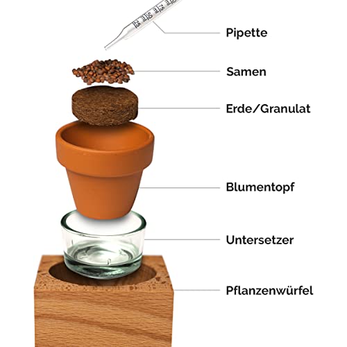 rewoodo Pflanztöpfe - Indoor Garten Anzuchtsystem Mini-Gewächshaus Tischdeko Schreibtisch(6er Set, Pflanztöpfe) - Image 4