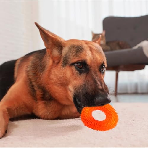 Image of Squeaky Ring Toy|Non- Toxic and Durable Squeaky Ring Shaped Ring Toy |Soft Natural Rubber Toy for Chewing and Dentle Cleaning (Orange, Size Medium)