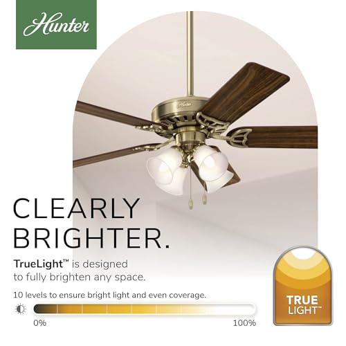 Image of Hunter Studio Series, Indoor, Ceiling Fan, Quiet, 52 inch, Antique Brass