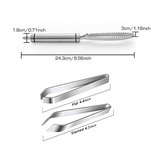 GZLCEU 3 of Set Fish Scale Remover and Fish Tweezers(Slanted/Flat),Stainless Steel Fish Descaler Tools, Fast Cleaner Scraper Tool Kitchen - Image 2