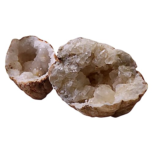 BUGUUYO 1pc Crystal Agate Specimen Natural Specimens Chakra Gemstone Rock Natural Rough Crystals Rough Stone Specimens Ore Science Supply Geology Learning Supply Collection Stones