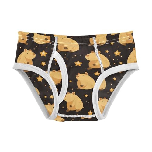 Wusikd Cute Capybara Boys' Underwear Cotton Stars Boys Briefs Soft Toddler Underwear 2T