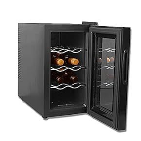 【美品】ワインセラー おしゃれ 12本収納 ガラス扉 8〜18℃設定 黒 IRIS OHYAMA ワインセラー ワイン 12本 家庭用 ペルチェ式