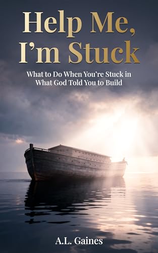 Help Me, I'm Stuck: What to Do When You're Stuck In What God Told You to Build