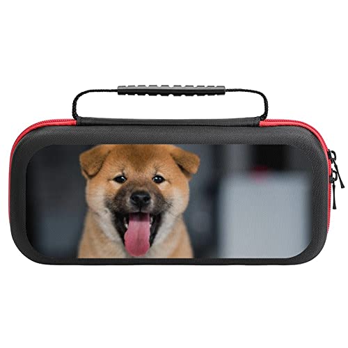 Č Switch P[X XCb` P[X یJo[ [obO ho h ϏՌ ^ѕ֗ Q[@[ eʂ20̃Q[J[h[\ Sʕی