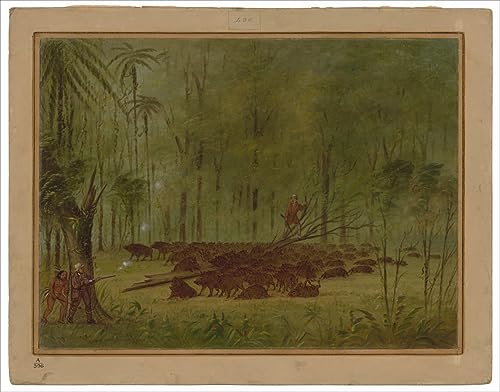 Impression d'art un combat avec des pécaris de George Catlin affiche murale premium