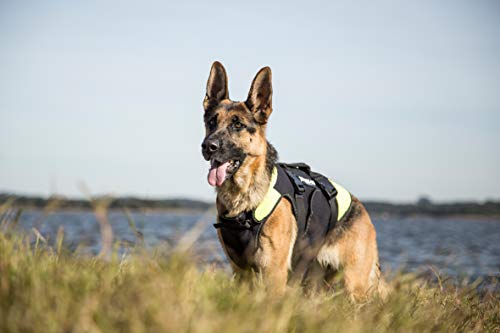 Julius-K9, IDC Multifunktionale Hundeweste 3in1, Größe: XL, Schwarz und Neon