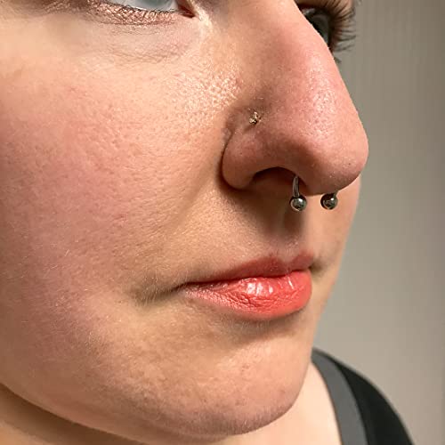 D.bella 14G Variety Of Sizes Horseshoe Rings Surgical Steel Nose Septum Horseshoe Hoop Earring Eyebrow Tragus Lip Rings Daith Helix Piercing Jewelry For Women Men 6-12Mm Smily Piercing Jewelry #TOP5