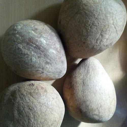 Pmw - Whole Coconut - Kopra - Kuridi - Kobbari - 500 Grams