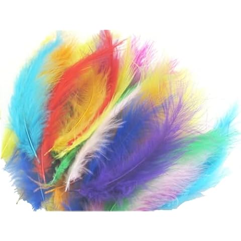 TBUY ROSE 3.5-6 inch 9-15cm Colorful Ostrich Feathers for DIY Dream Catchers Crafts Bulk Feathers Assorted Colors Home Decoration DIY Craft (300 Pack, Random Color) Cover