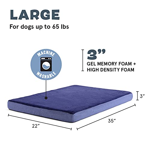 Barkbox Memory Foam Platform Dog Bed Plush Mattress for Orthopedic