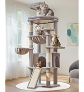 Amazon | Taoqimiao キャットタワー 高さ180cm 大型猫用 多頭飼い対応