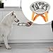Baoblaze Elevated Cat Bowl with to Clean Stable Modern Stainless Food Bowl Pet Water Food Feeder for Small Dogs, Orange