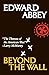 Beyond the Wall: Essays from the Outside
