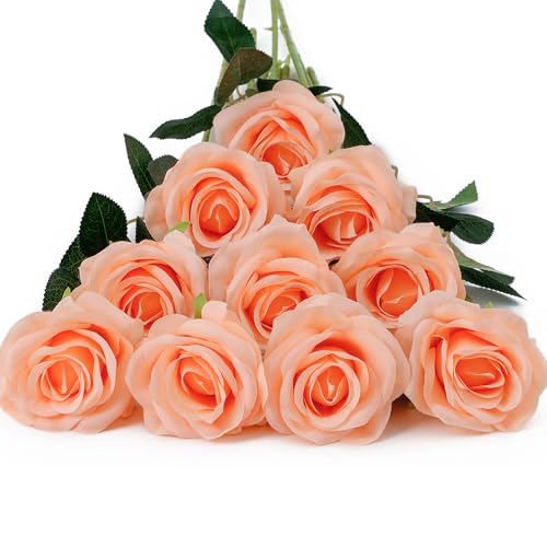 DuHouse 10pcs Fake Roses Artificial Silk Flowers Faux Rose(Peach Fuzz-a)