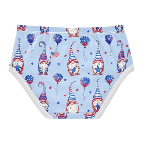 Cute Gnomes Independence Day Toddler Girls's Underwear 2T 202c18022