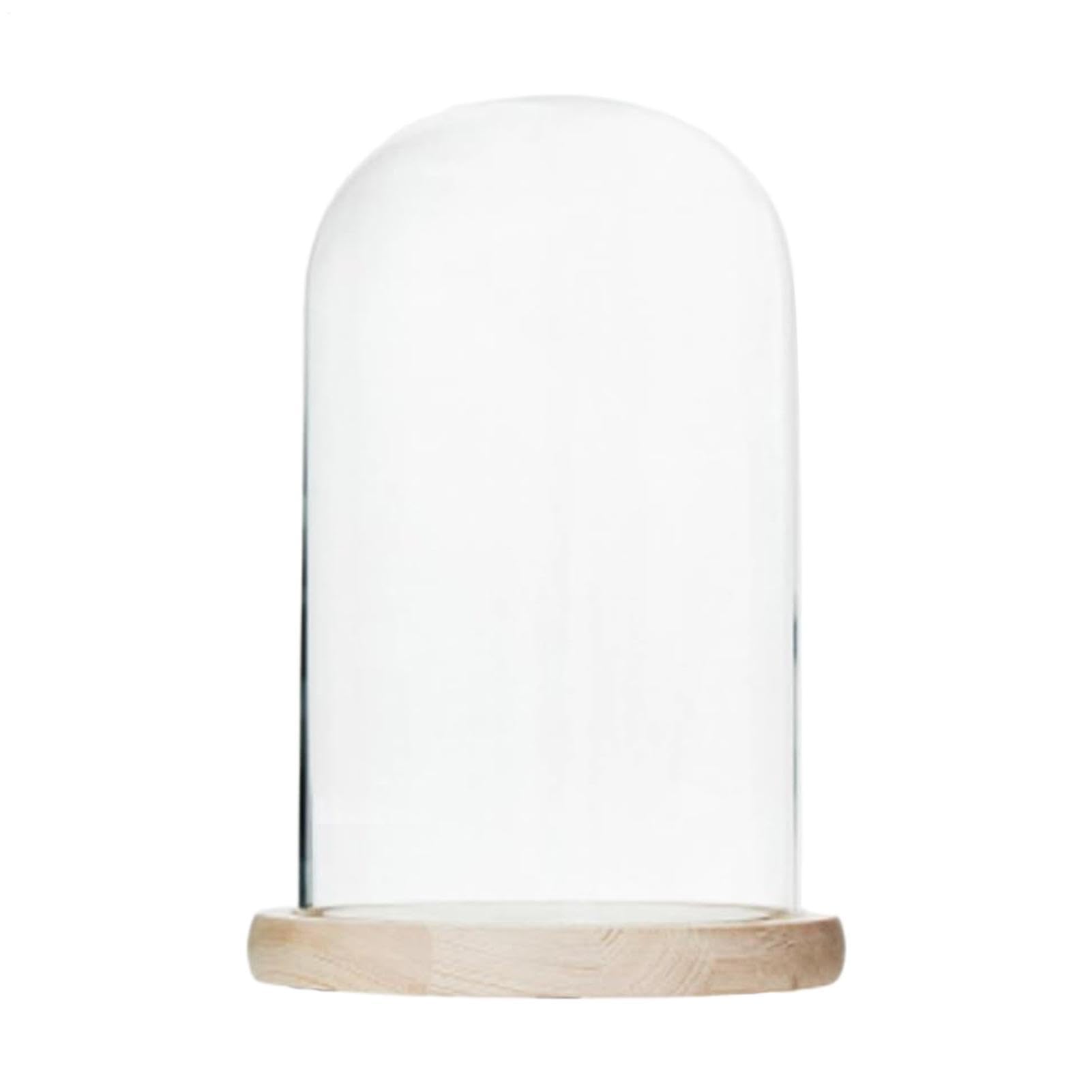 Dôme en verre haut de gamme cloche de protection pour fleurs et art végétal