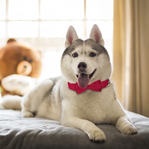 KTWSUEF Hundehalsband Samtiges, mit Abnehmbarer Hunde Fliege, Komfortable Verstellbares Samtige Halsband Hund, Geeignet für Hunde Kleine Mittel große Hunde, Für Hochzeiten, Geburtstage, Partys usw
