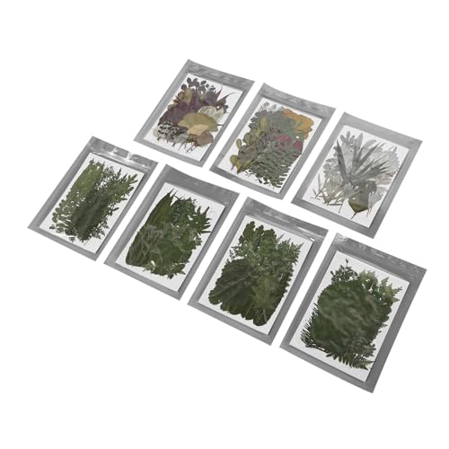 Kit de Flores Secas Prensadas DIY, 245 Peças, Elegância , Multifuncional, para Joias, Convites e Mui