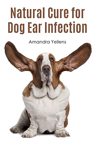 natural cure for dog ear infection