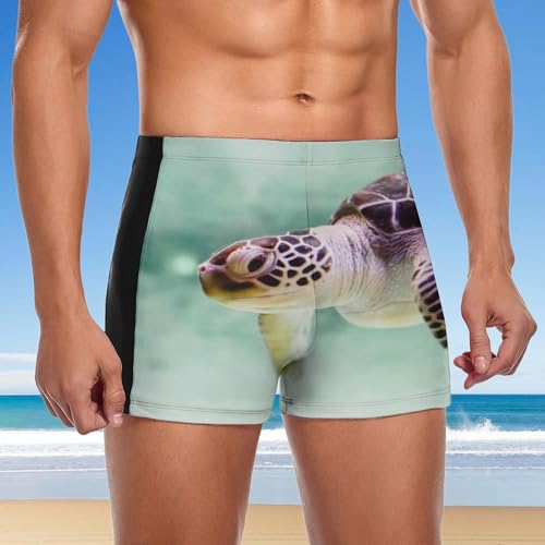 Swimming trunks homme tortue brune pour la natation