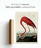 American Flamingo Poster John James Audubon Vintage Bird Illustration Antique Print Ornithology Art, Archival Matte, A4 (Print Only) - 29.7x21cm #5