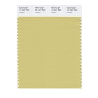 PANTONE Smart 14-0760X Color Swatch Card, Cyber Yellow