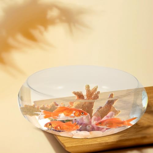 Image of BESPORTBLE Clear Fish Bowl Vase Bubble Bowl Wide Mouth Flower Vase Round Shallow Planter Terrarium Aquatic Plant Pot Daffodil Pot Hydroponic Planter Fish Tank Bowl