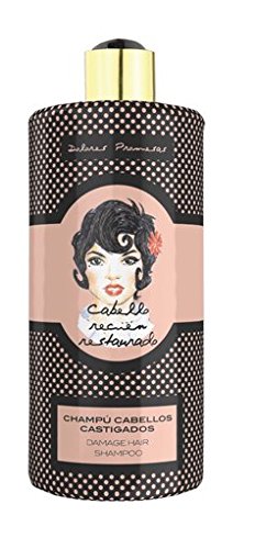 Pain Promises Shampoo Hair castigados- 300 ml, 300 ml (Pack of 1)