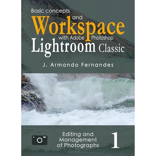 Basic Concepts and Workspace by J. Armando Fernandes episode artwork